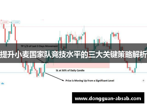 提升小麦国家队竞技水平的三大关键策略解析