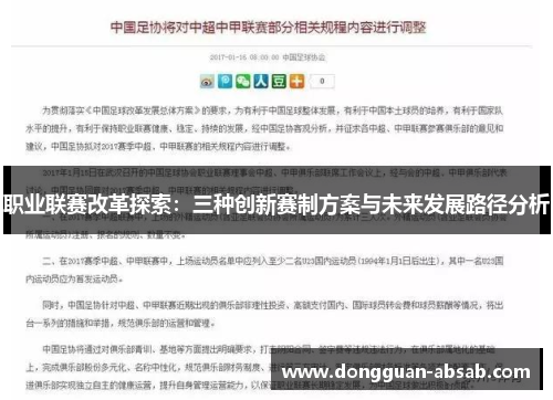 职业联赛改革探索:三种创新赛制方案与未来发展路径分析