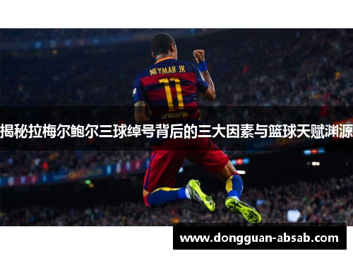 揭秘拉梅尔鲍尔三球绰号背后的三大因素与篮球天赋渊源