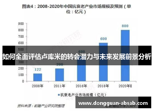 如何全面评估卢库米的转会潜力与未来发展前景分析